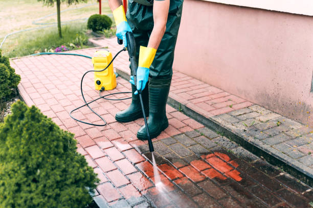 Best Animal Enclosure Cleaning  in Fort Thompson, SD